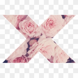 Cruz Flores Rosas Grunge Pink Tumblr Clipart