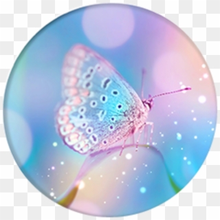 Grip - Pixie Dust - Blue Real Nature Butterfly Clipart