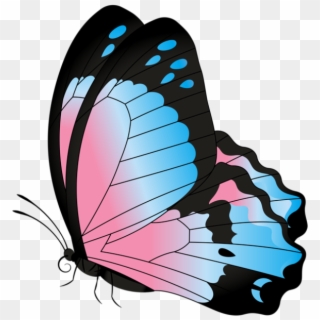 Borboletas Borboleta Azul E Rosa Png - Pink Blue Monarch Butterfly Clipart