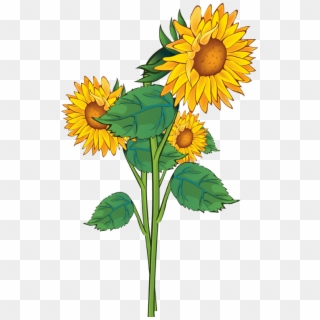 Sunflower Clip Art Free Printable - Sun Flowers Clip Art - Png Download