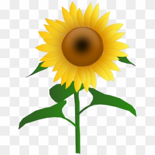 Sunflower Free To Use Png - Sunflower Vector Clipart