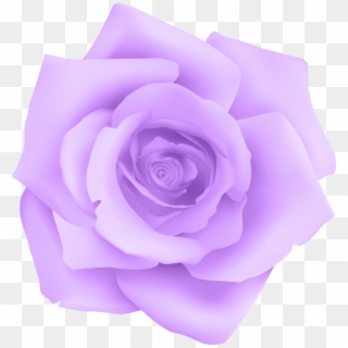 Purple Rose Transparent Clip Art Gallery Yopriceville - Png Download