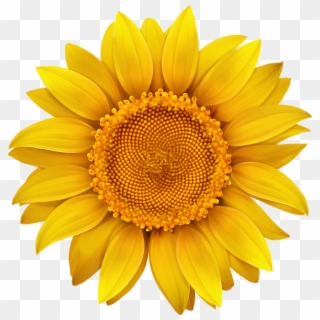 Sunflower Png Image Flower Designes Pinterest - Am Happy When You Are Happy Clipart