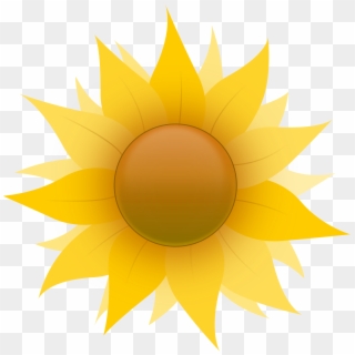 Small - Sunflower Clip Art - Png Download