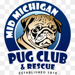 Pug Club , Png Download - Pug Club Clipart