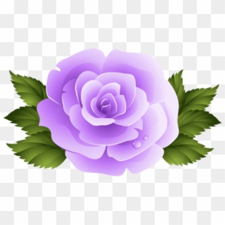Free Png Download Purple Rose Png Images Background Clipart