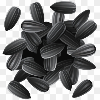 Sunflower Seeds Png Clipart Image Transparent Png