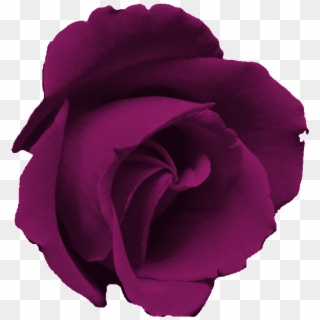 Free Flower Clip Art Images - Rosa Turquesa Png Transparent Png