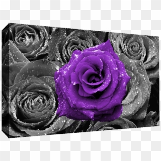 Details About Floral Purple Rose On Bed Of Roses Abstract - Красные Розы Clipart