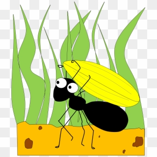 Ant The Png Image Clipart - Grasshopper And The Ant Clipart Transparent Png