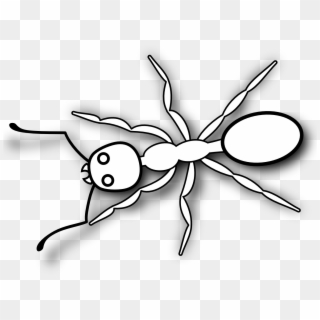 White Ant Png - Clip Art Black And White Ant Transparent Png