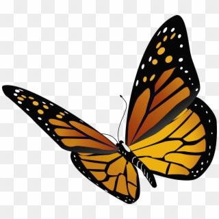 Here S The Next Step For Monarchs - Monarch Butterfly Transparent Background Clipart