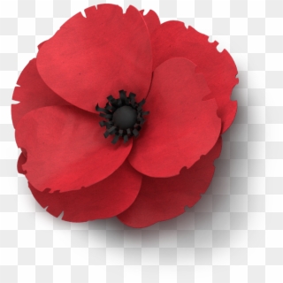 Poppy Flower Memorial Day - Clip Art Remembrance Day Poppy - Png Download