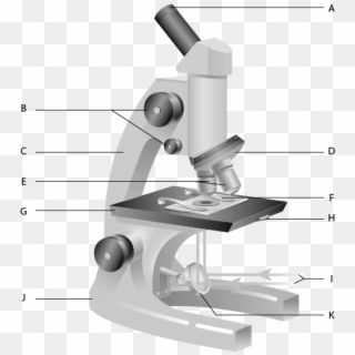 600 X 600 1 - Free Parts Of A Microscope Worksheet Clipart