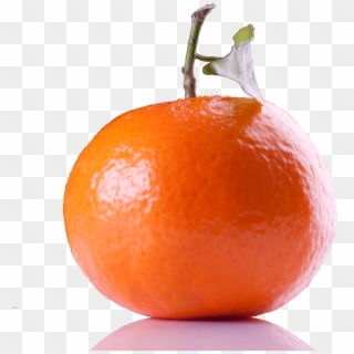 Transparent Clipart - Png Download