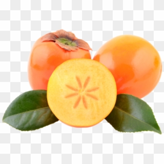 Mobile Frudies Sourced From Spain Turkey Colombia - Exotic Fruits Png Clipart