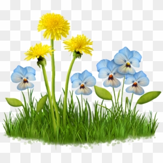 #flower #garden #plant #nature #grass #field #lawn - Fleur Des Champs Png Clipart