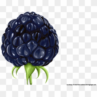 Free 7 Awesome Blackberry Fruit Clipart - Black Berry Fruits Png Transparent Png