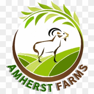 Amherst Farms - Goat Clipart