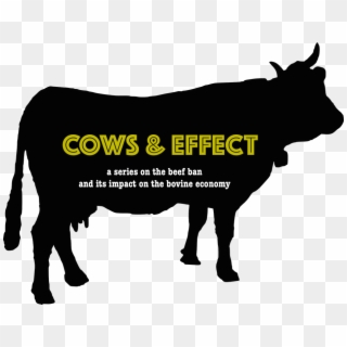 How The Beef Ban Is Causing The Decline Of The Famous - Silhouette Dairy Cow Clipart