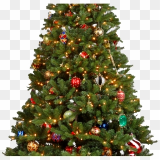 Tree Transparent Background - Christmas Tree With Skirt Clipart
