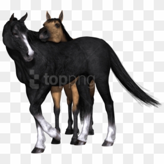 Free Png Download Horses Black Horse Looking Back Png - Caballos Con Fondo Transparente Clipart