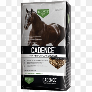 Cadence™ Textured Feed - Feed For Race Horses Clipart