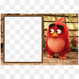 Free Png Best Stock Photos Angry Birds Movie Kids Png - Angry Bird Photo Frame Clipart