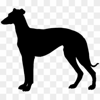 Bulldog Clipart Greyhound - Greyhound Clipart - Png Download