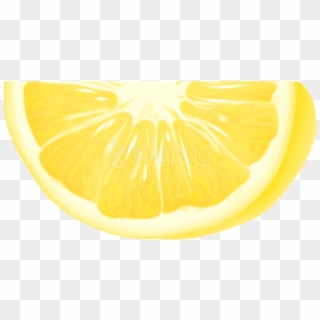 Free Png Piece Of Lemon Png - Close-up Clipart