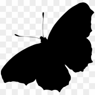 Butterfly Silhouette Inachis Io Drawing - Butterfly Silhouette Png Clipart
