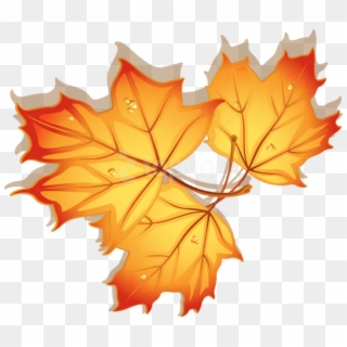 Free Png Download Autumn Leaves Clipart Png Photo Png - Autumn Leaves Dibujo Transparent Png