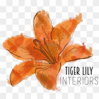 Orange Lily Clipart