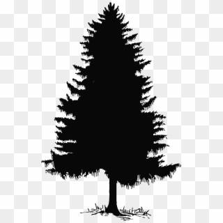 Pine Trees Silhouette - Washington State Pine Tree Clipart