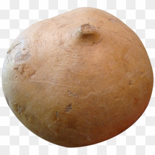 Jicama Png Image Clipart