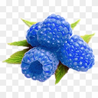 Raspberries Clipart Cute - Blue Raspberry - Png Download