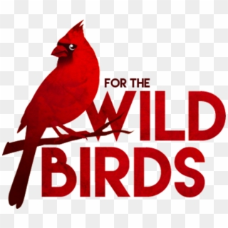 Your Backyard Bird Specialists - Bird Wild Clipart