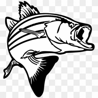 Salmon Clipart Raw Fish - Black And White Bass - Png Download