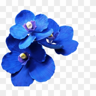 Dark Blue Flowers Transparent Clipart