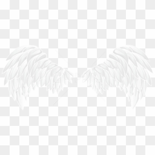 Free Png White Wings Png Images Transparent - White Wings Png Clipart