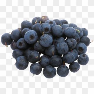 Blueberry Clipart