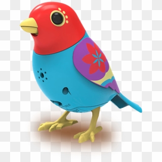Bird01 - Bird Toy Png Clipart