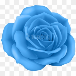 Free Png Download Rose Blue Png Images Background Png - Rose Png Clipart