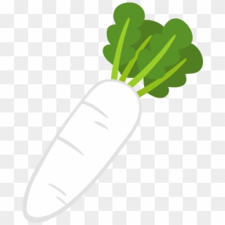 Daikon Clipart