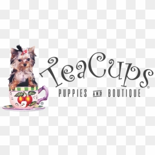 Chihuahua Clipart Teacup - Puppy Boutique Store Fort Lauderdale Fl - Png Download