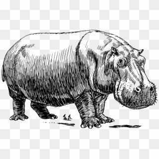 Do You Prioritise Like A Hippo - Black And White Hippo Clipart