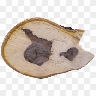 The Grain Of Walnut Wood Is Usually Straight, Has A - Driftwood Clipart