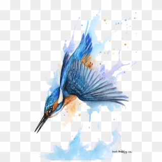 503 X 700 1 - Diving Kingfisher Illustration Clipart