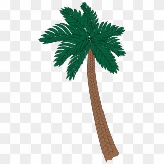 This Free Icons Png Design Of Palm Tree 2 Clipart