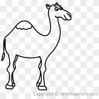 1024 X 768 21 - Drawing Of Camel Easy With Man Clipart